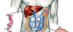 gastroenterologia-alphaville-1450795519