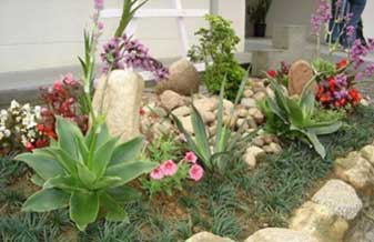 Chacara Vitória Jardinagem e Paisagismo - Foto 1