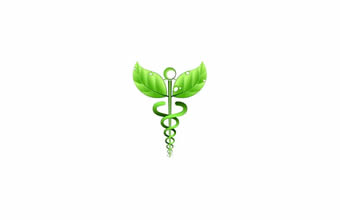 Imca – Instituto de Medicina Tradicional Chinesa - Foto 1