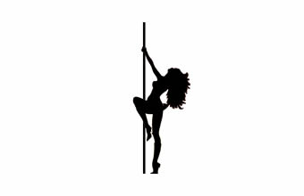 Pole Dance Brasil Renata Wilke - Foto 1