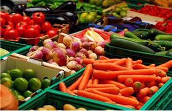 Fruitville - Foto 1