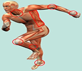 Fisioterapia  em Alphaville